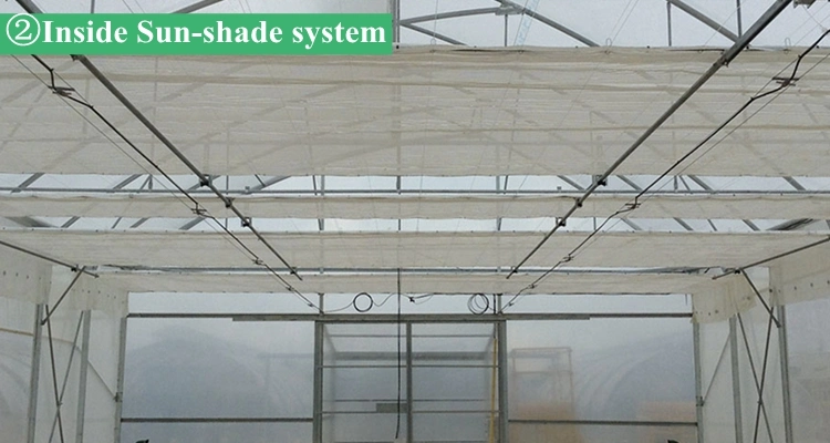 Cheap Multi-Span/Single Span Commercial Tunnel Plastic Film Glass Polycarbonate Farm Agriculture Greenhouse with Seedbed Hydroponic for Tomato Strawberry