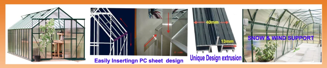 Polycarbonate Sheet Alumnium Frame Garden Green House for Flower Vegetable Fruit Planting (RDGA0820-6mm)