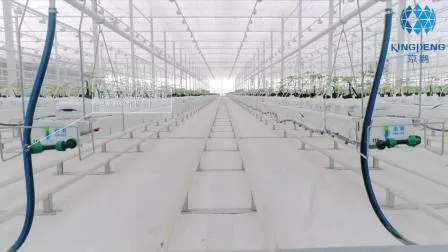 농업용 Venlo 강화/부동 4mm/5mm 유리 다중 패널 온실